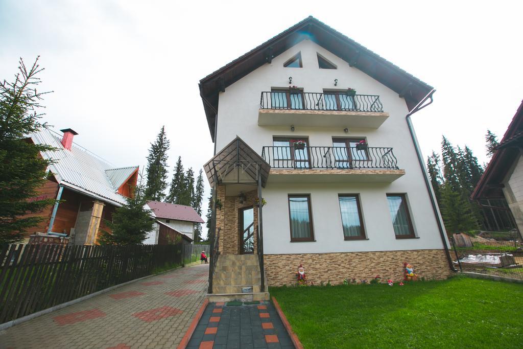 Pensiunea Viki Tău Bistra Zewnętrze zdjęcie